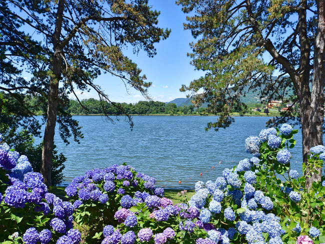 Lago-di-Montorfano GUIDED TOUR - Montorfano Lake