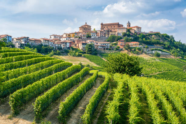 la-morra GUIDED TOUR - Langhe